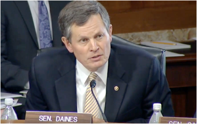 Daines Forest hearing 